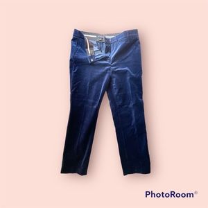 Anne Taylor DEVIN Fit navy velvet ankle length pants SZE 6